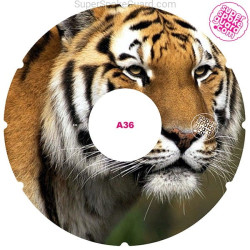 Wheelchair Spoke Guard A-036