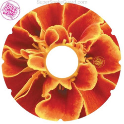 Wheelchair Spoke Guard A-106