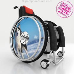 Spoke guard A-133