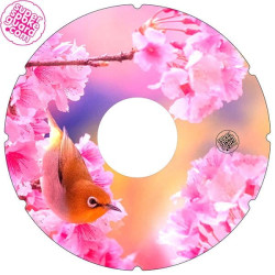 Protège-rayons pour fauteuil roulant A-169