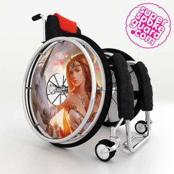 Spoke guard A-252